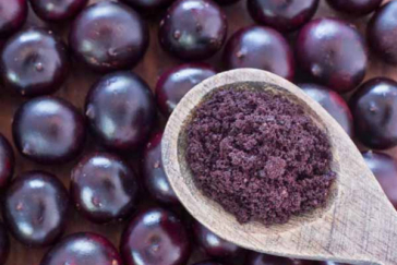 The acai berry